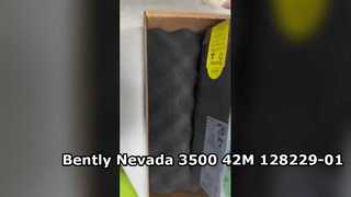 128229-01 Monitor Seismik Bently Nevada 3500 42M